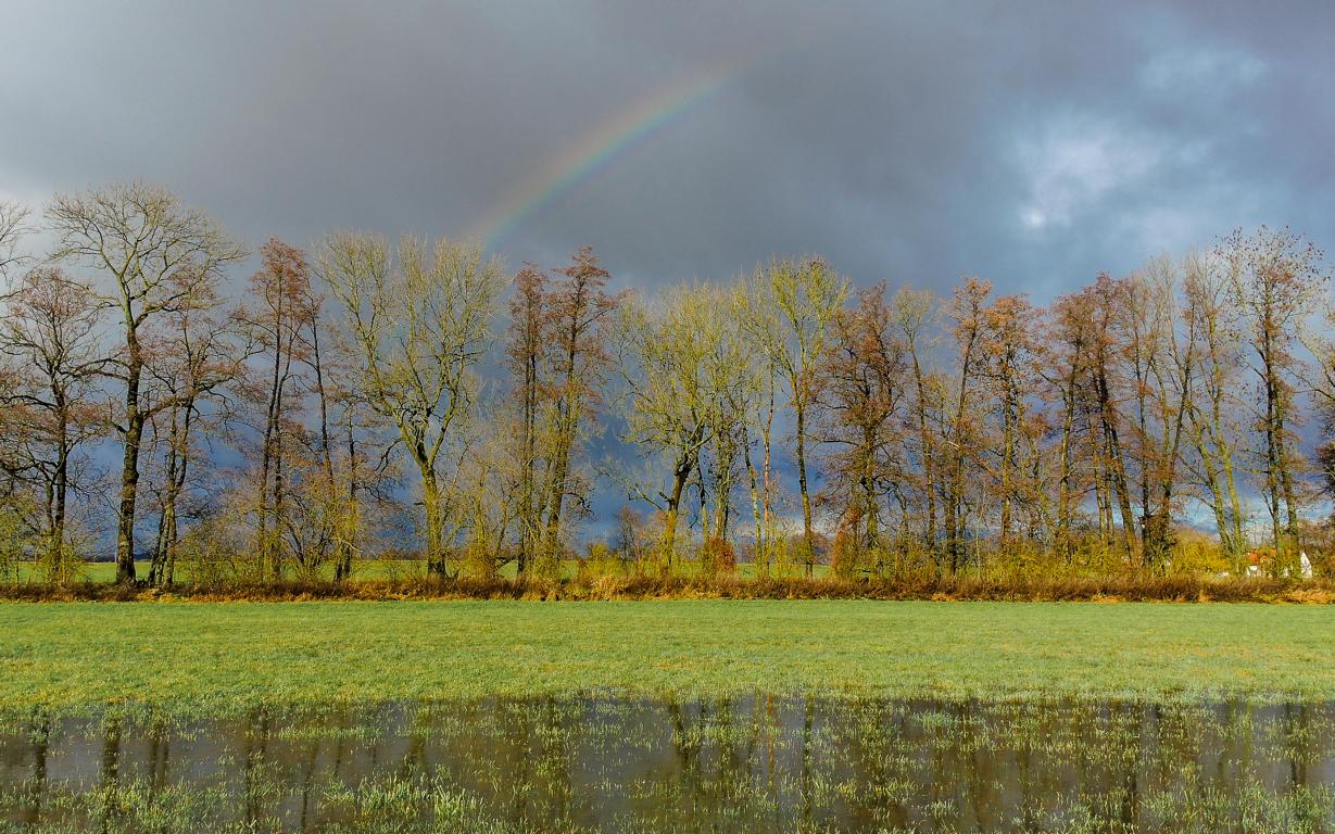 Regenbogen