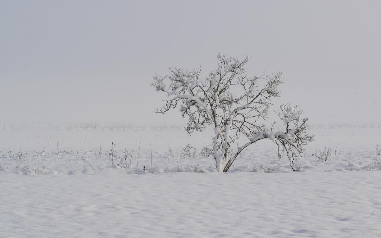 Schnee überall