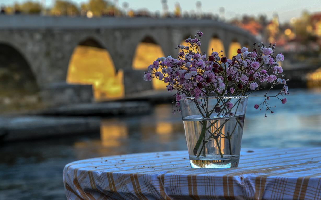 Blumen im Glas