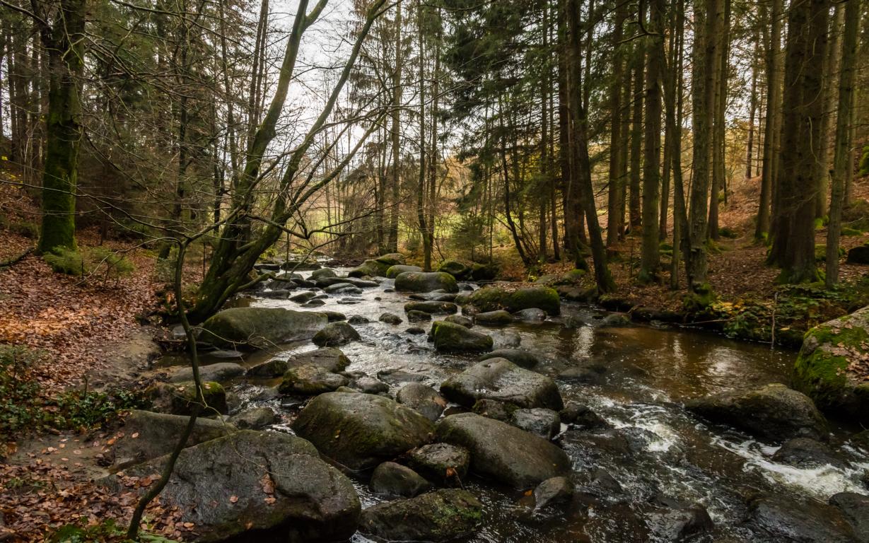Höllbachtal
