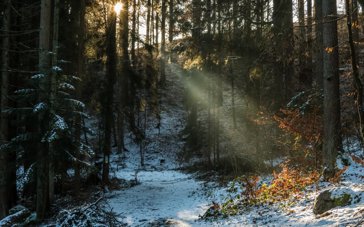 Sonnenstrahl
