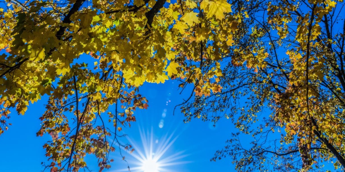 Sonnenstrahlen