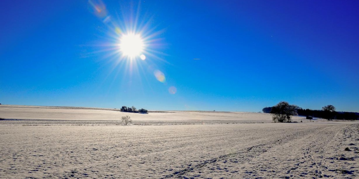 -8°C