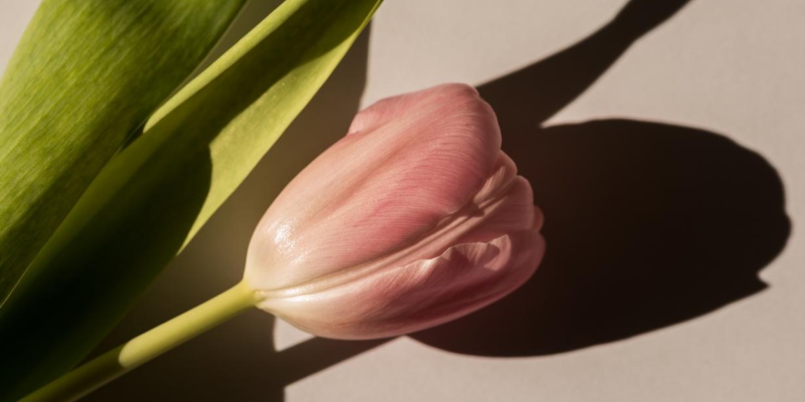 Schatten