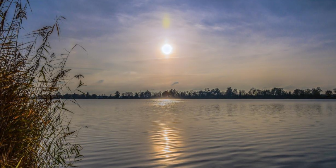 Sonnenlicht am See