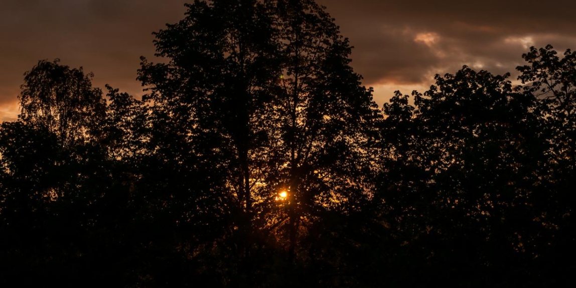 Abendsonne im Oktober