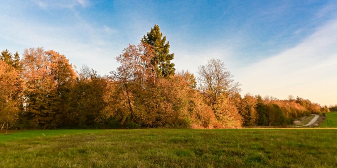 Herbst