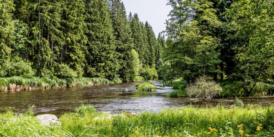 Fluss Schwarze Regen in Bayerisch Kanada